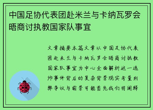 中国足协代表团赴米兰与卡纳瓦罗会晤商讨执教国家队事宜